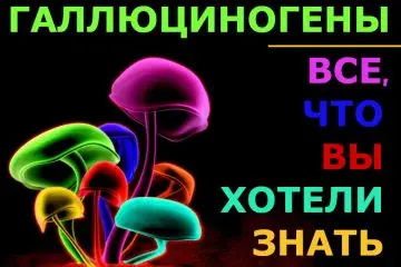 Галлюциногены: все, что вы хотели знать