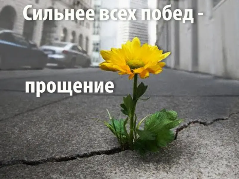proshhenie Простить себя